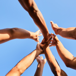 Teamentwicklung und Konfliktmanagement