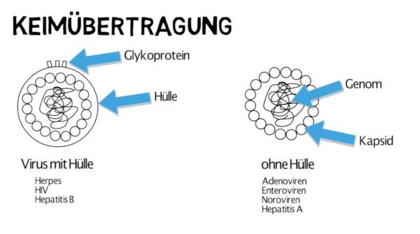 Hygiene im Einsatzdienst – Bild 2